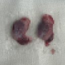 덕소동물병원 이미지