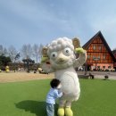 안성에너지 | 안성팜랜드 23개월 아기랑 다녀온 후기｜입장료·주차·동물 먹이주기 체험 총정리