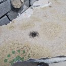 한일정비 이미지