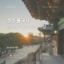 나무물고기 | 25년 만에 찾은 경주 불국사... 천년고도 경주 여행
