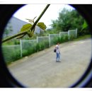 설화사슴목장 이미지