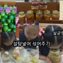 행은야채과일
