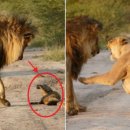 복수목장 이미지