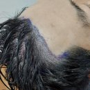 자라다의원 이미지