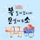 모차르트음악학원 이미지