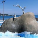 세파에 따르지 이미지