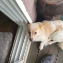 여주-0706 이미지