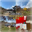 불교, 마음과 치유의 기록들 | 강화도 전등사 방문 후기｜서울 근교 힐링 여행지 추천 (왕가의 길, 국가유산방문자여권)