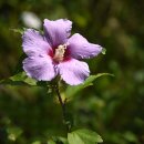 동청목장 이미지