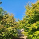 다실축산 이미지