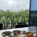 옛날찐곰탕 이미지