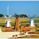 환상의노을 Daum카페