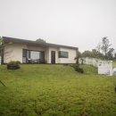 맘앤도그 이미지