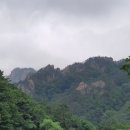 세동냉장 이미지