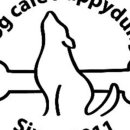 똥강아지 애견 이미지