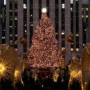 D SKY PC CAFE 이미지