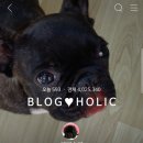 통영장사도펜션 이미지