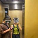 그린수약국 | [탄자니아 신혼여행 Day 7] 능위에서의 하루