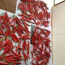 철길농장 이미지