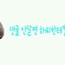 도치퀸 | [고슴도치용품 도치퀸 구매후기 세번째!!]