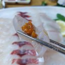 가산 회식 식당 물회 맛있는 횟집 다도해수산
