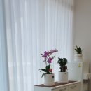 라라샵방촌점 이미지