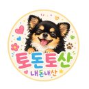 백령도 맛집 현지인 추천 사자바위캠프 오리백숙 염소전골 맛집 내돈내산 후기