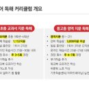잎새와줄기논술국어학원