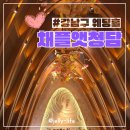 강남권 웨딩홀투어 더채플앳청담 웨딩뷔페 시식 및 계약후기