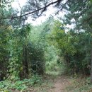 봉남리 삼층석탑 이미지