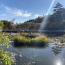 양양낙산사 의상대와 홍련암 이미지