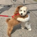 부엉이공원(CCTV폴) | 홍콩콩