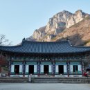 보성인재 | 💬단소로풍류정신계승한인재이철호선생(구례향제줄풍류...보성조각류공룡(코리아노사우루스보성엔시스)골...