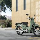 비전모터풀 이미지