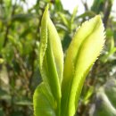 한서대학교 건강증진대학원 이미지