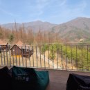 미리내 염소농장 이미지