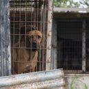 김성광 농장 이미지