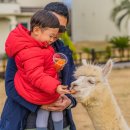 낭만농장 이미지