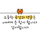 보볼리플라워