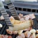 성미네생고기 이미지