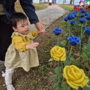 당항 | 고성 당항포관광지- 공룡엑스포 10개월 아기 방문후기, 아이와 함께 가기좋은곳, 당항포만의봄