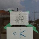 같이살자지구카페