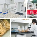 삼화어린이집 이미지