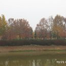 쌍암공원 이미지