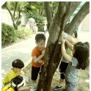 18.06.07 충북문화관 숲속 + 갤러리가 궁금해요. - 지구어린이집 (딱따구리쌤) 이미지