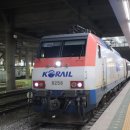 천안종로약국 | [공지] 충남 레트로낭만열차 서천여행