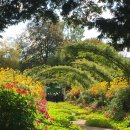 모네의 정원 이미지