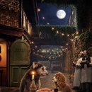 코카레이디(COCA lady) | [시리즈영화] 레이디와 트램프, Lady and the Tramp / 2019 / 감독 찰리 빈 / 테사 톰슨, 저스틴 서로...