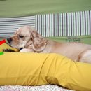 최우영헤어라인 | 나른한 토요일_ 최우영스시,단비, 그리고 맥도리