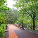 소백산국립공원 남천야영장 이미지